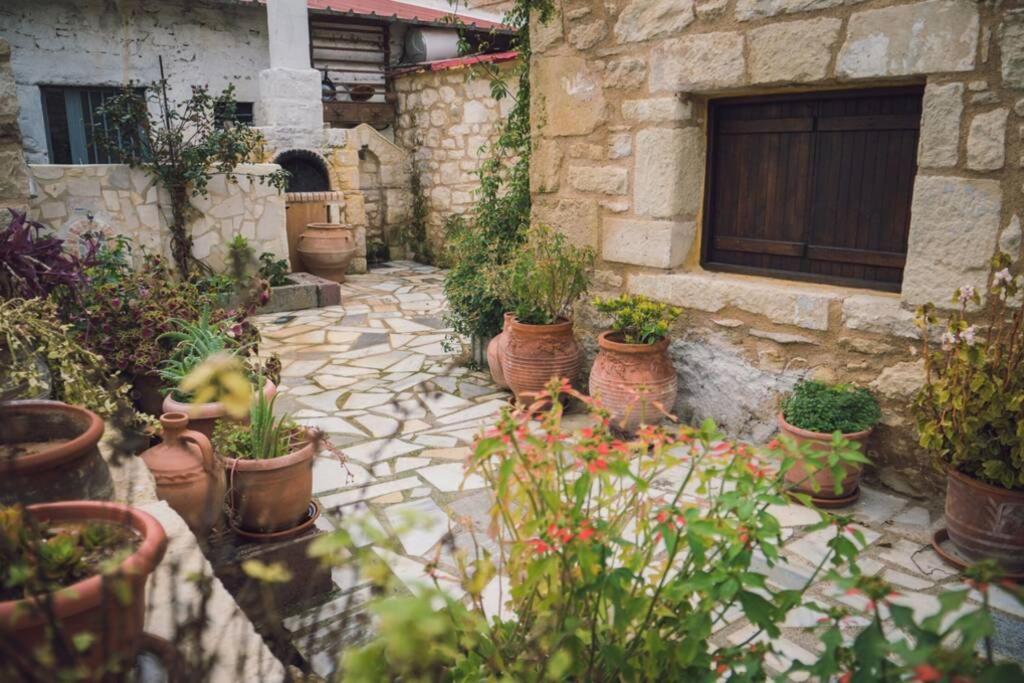 Vasiliki The Royal Stonehouse : Sophia别墅 外观 照片